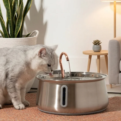 Pawhus™ - Fontanella Automatica Acqua Pura
