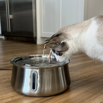 Pawhus™ - Fontanella Automatica Acqua Pura