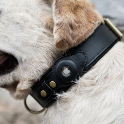 Pawhus™ - Collare Anti Smarrimento